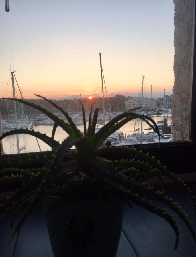 Petit Cocon Magnifique Vue Sur Marina Dans Le Golfe De Saint Tropez Apartment Cogolin Exterior photo